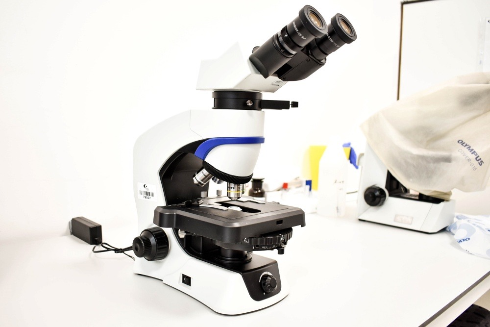 Polarizacioni mikroskop